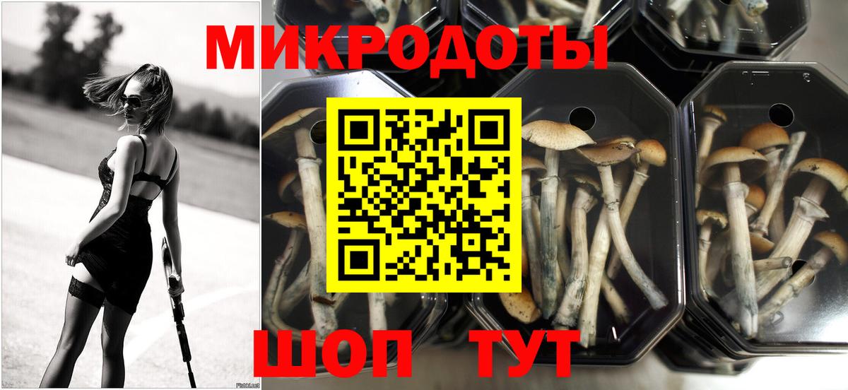 Галлюциногенные грибы Cubensis Зима