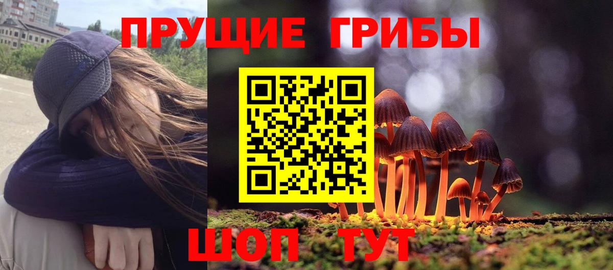 Псилоцибиновые грибы прущие грибы  Галлюциногенные грибы мухоморы  Зима  Вход с VPN 
